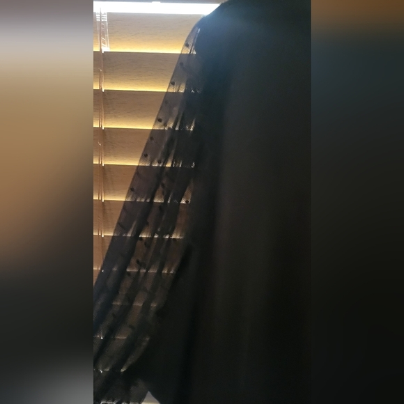 Storyteller Sheer Long Sleeve Top Size 2x Black - Picture 3 of 6